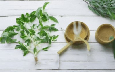 The Power of Motivation in Wellness: Top Motivational Wellness Blog Topics for Inspired Growth